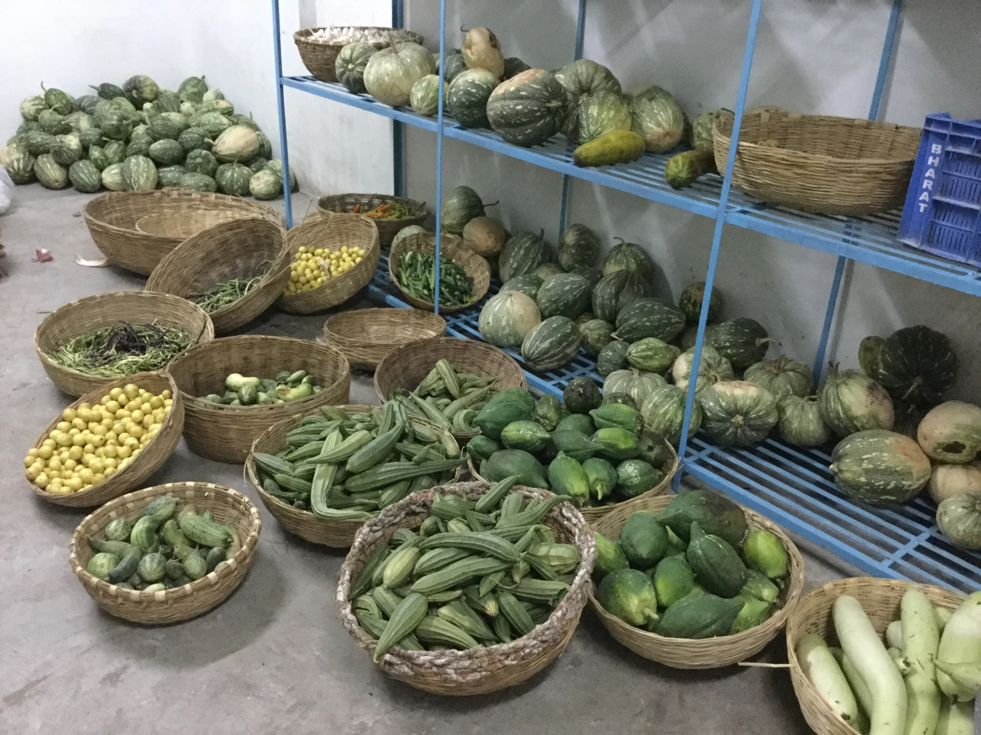 monsoon veggies stored at 17 degrees celsius